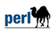Perl Softare Development